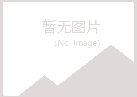 宁夏白山能源有限公司